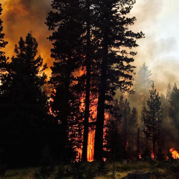 Cougar Creek Fire on the Yakama Nation. (Photo: Courtesy InciWeb)