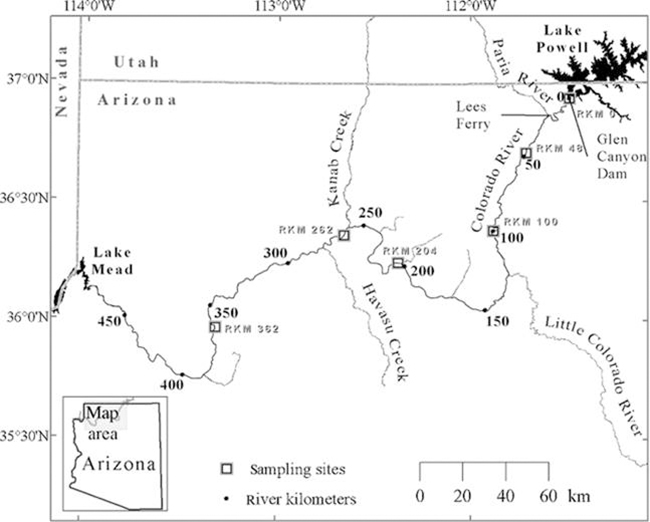 Map of study area showing sample location relative to Glen Canyon Dam on the Colorado River, Grand Canyon (AZ, USA).