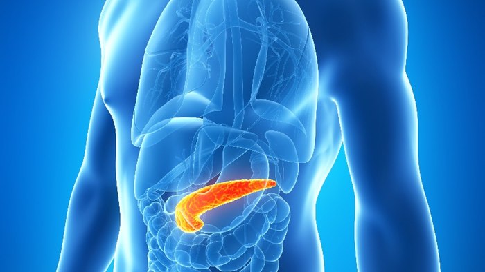 Reducing pancreatic fat can be highly effective in the treatment of diabetes
