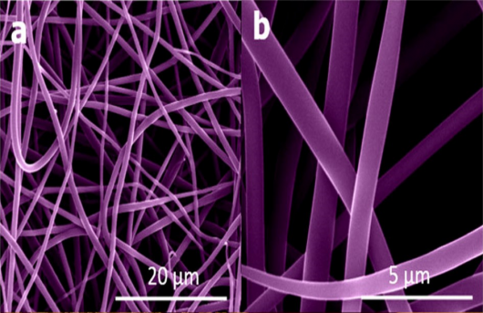 Scanning electron microscope images of (a) SiO2 nanofibers after drying, (b) SiO2 nanofibe...