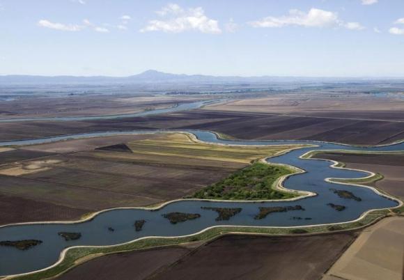 Court upholds cutback in California water drawdown to protect fish Photo: Robert Durrell