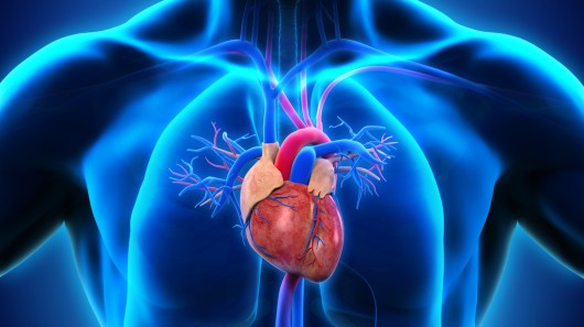 New research shows that exposure to silicon-based nanoparticles may negatively influence c...