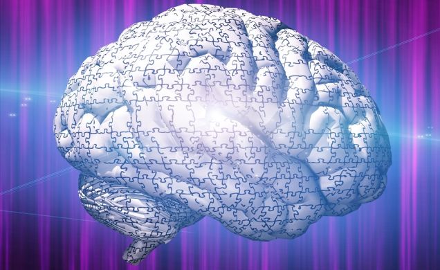 Don�t Waste Your Money on �Brain Training� Schemes