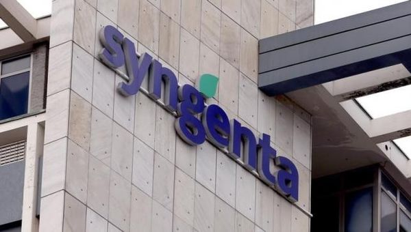 In bid for Syngenta, Monsanto woos U.S. farmer support Photo: Arnd Wiegmann