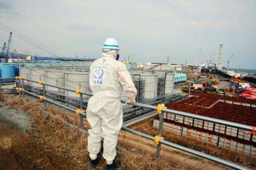 A member of the IAEA mission team inspects TEPCO's Fukushima Daiichi Nuclear Power Station in Okuma, Fukushima prefecture on Feb