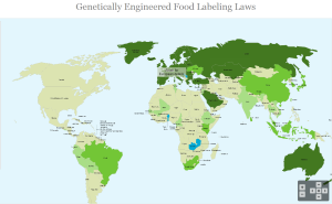 gmo-foods-label-world