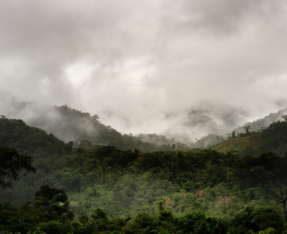 The upper Amazon, near Loromayo, Peru, 2014. Photo by Doug McMains, National Museum of the American Indian, Smithsonian Institution
