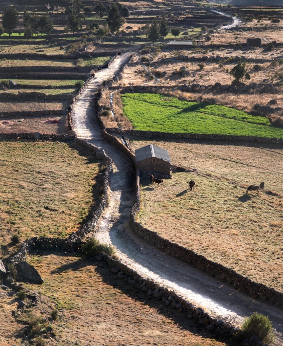An Inka road with sidewalls cuts through an agricultural valley. Colca Canyon, Peru, 2014. Photo by Doug McMains, National Museum of the American Indian, Smithsonian Institution.