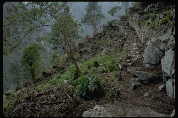 Portion of the east flank trail at Machu Picchu, Peru (Wright Water Engineers, Inc., 1998)