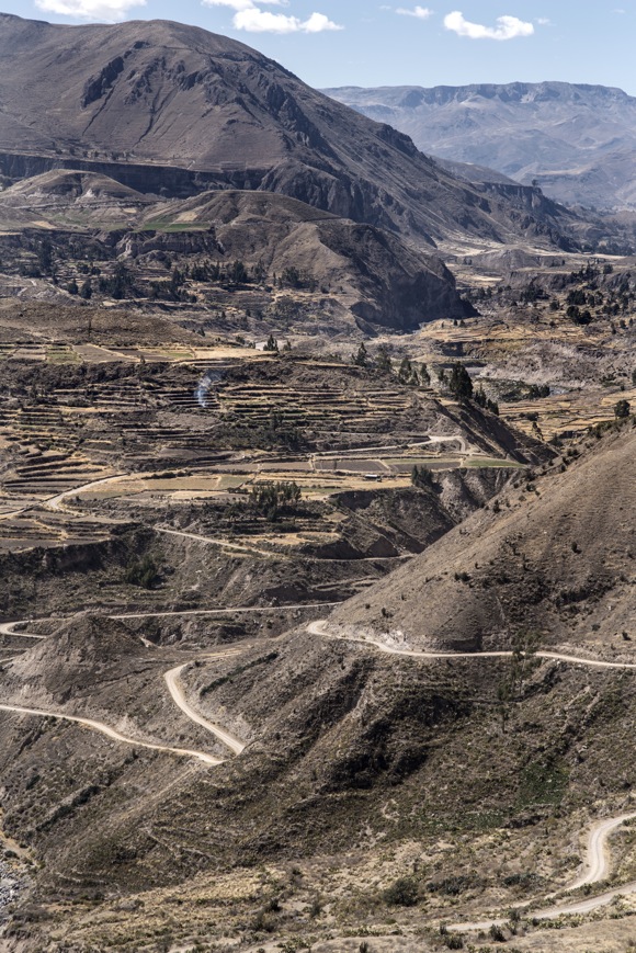 The Qhapaq Nan in Contisuyu, Colca Canyon, Peru. Photo by Doug McMains, 2014.