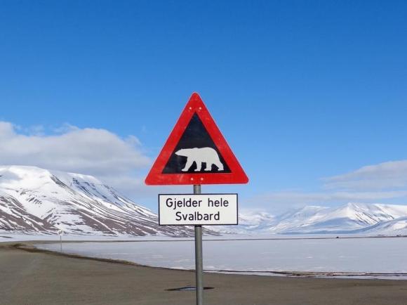 Arctic eclipse alert: hotels full, it's cold, polar bears prowl Photo: Balazs Korayni