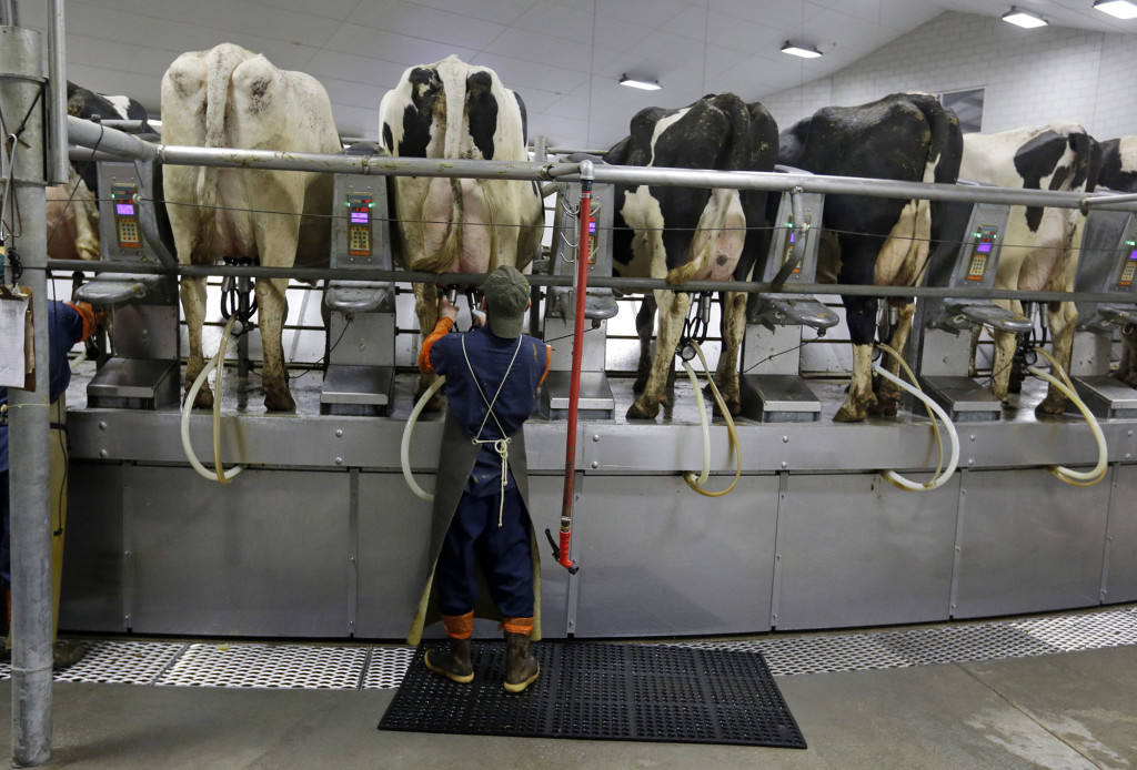Under federal rules, the industry tests raw milk, both conventional and organic, for at least four of six beta-lactams, a common class of antibiotics that includes penicillin and amoxicillin.