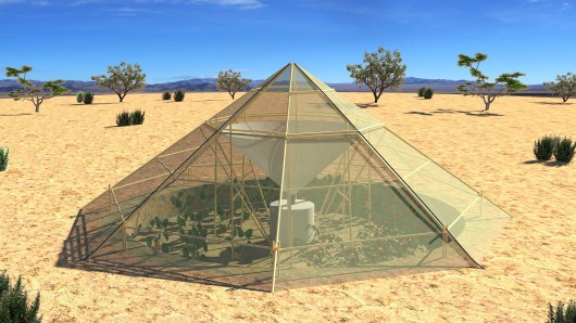 Roots Up has designed a greenhouse for use in hot, dry climates that collects dew for irri...