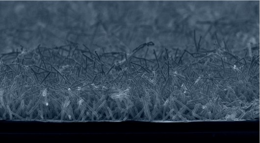 Tiny 'metallic grass' could have big implications for energy production (Image: Drexel Uni...