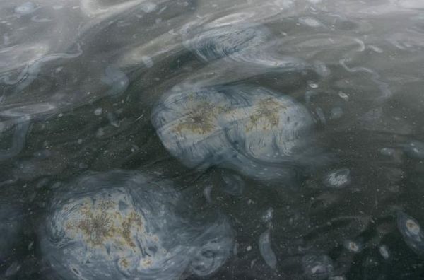 Exclusive: Prosecutors probe possible criminal case in California oil spill Photo: KEVORK DJANSEZIAN