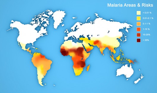 A map of malaria distribution around the world (Image: Shutterstock) 