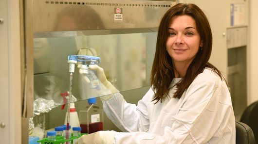 Associate Professor Katherine Kedzierska, part of the team that made the flu-immunity discovery, at work in the University of Melbourne lab
