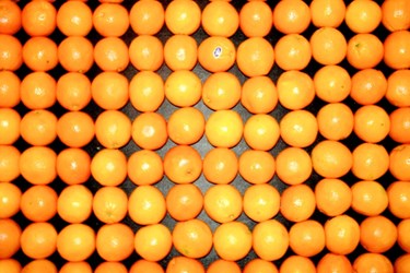 oranges.reg.jpg
