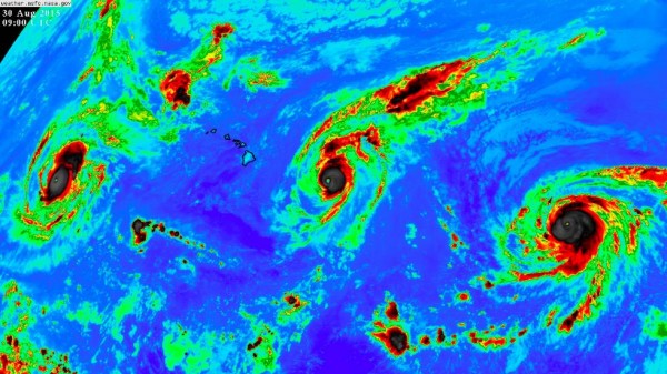 Three Category 4 hurricanes on Sunday morning in the Pacific. Kilo (left), Ignacio (center) and Jimena (right). Image via NASA.