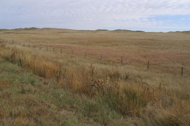 ontopofaquifer.reg