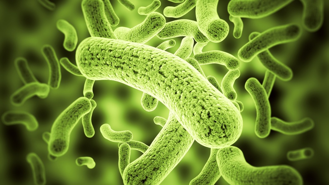 The combination of bacteria that you emit is unlike that of anyone else
