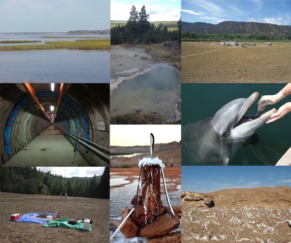 New lineages of bacteria have been found in a variety of sites, from sparkling water wells to dolphin mouths. All have helped to expand the tree of life. Collage by Laura Hug.