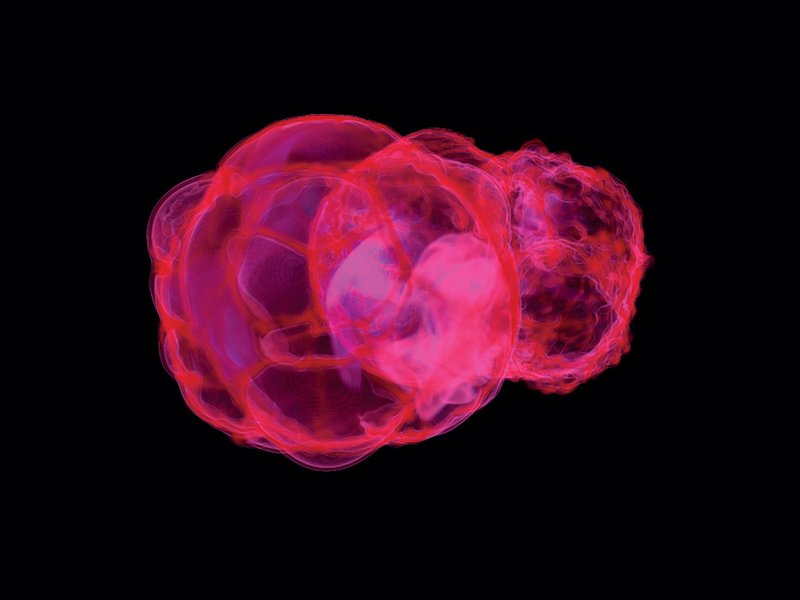 supernova iron-60.jpg