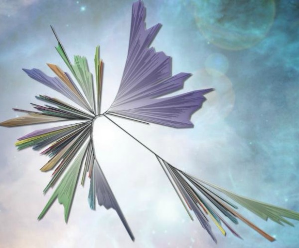 This is a new and expanded view of the tree of life, with clusters of bacteria (left), uncultivable bacteria called 'candidate phyla radiation' (center, purple) and, at lower right, the Archaea and eukaryotes (green), including humans. Image credit: Graphic by Zosia Rostomian, Lawrence Berkeley National Laboratory