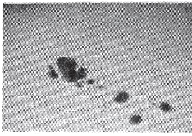 Image of the sunspots that emerged prior to the May 23, 1967 solar flare event