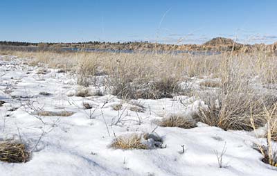 Matt Hinshaw/The Daily CourierSnow melts on the ground around Willow Lake Tuesday afternoon in Prescott. Many parts of northern Arizona are above normal for their water year, which started Oct. 1, 2015, according to the latest report issued by the National Drought Mitigation Center in Lincoln, Nebraska.
