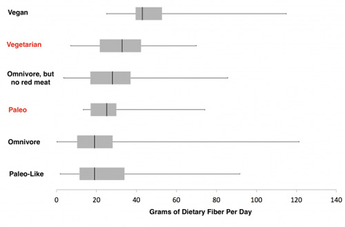 Dietary Fiber Per Day
