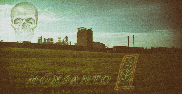 Lane County, Oregon Tries to Kick Out Monsanto with GM Ban