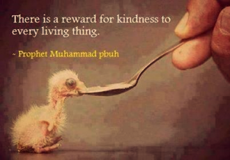 10 Ways to Raise Our Vibration - Kindness