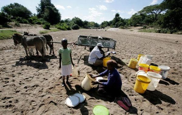 From herdsmen to central bankers, southern Africa counts drought costPhoto: Philimon Bulawayo /File Picture