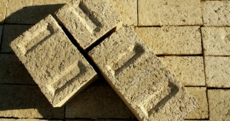 9 Uses For Hemp You Won�t Learn From Mainstream Media - Building Materials