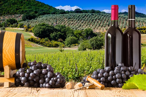 California Wine�s Have Been Tested And 100% Shown To Have Monsanto�s Toxic Chemicals � Even Organic!