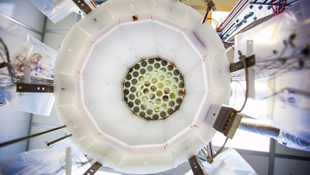 A view inside the LUX detector