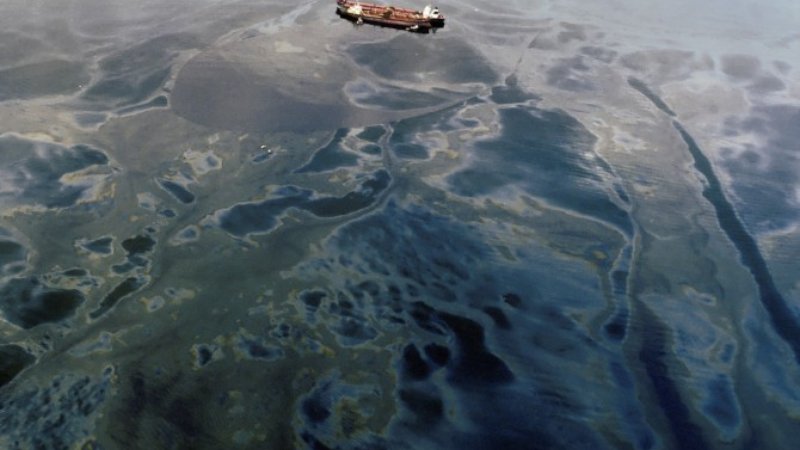 In 1989, the Exxon Valdez spilled over 42 million liters of oil off the Alaskan coast; it was the largest spill in U.S. coastal waters prior to the Deepwater Horizon disaster in 2010. (The Exxon Valdez never again entered U.S. waters and ended its days as the Oriental Nicety, beached in India for scrap.) 