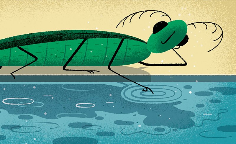 Conscious Insect Illustration