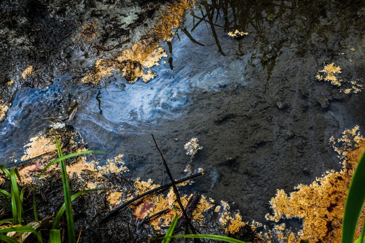 Oil and other pollutants from an abandoned oil well on the property of Joe and Cheryl Thomas.