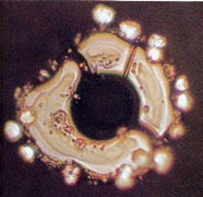 An unstructured water molecule of Biwako Lake in Japan where pollution is prevalent. From The Message From Water by Masaru Emoto.