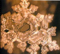 A structured water molecule after being exposed to Bach's Air For the G String. From The Message From Water by Masaru Emoto.