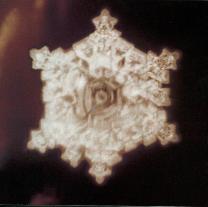 Structured water molecule after being exposed to Beethoven's Pastorale. From The Message From Water by Masaru Emoto.