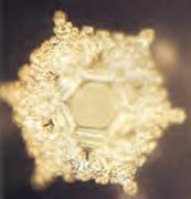 A structured water molecule after exposure to positive language phrase: Love and Appreciation. From The Message From Water by Masaru Emoto.