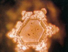 A structured water molecule after exposure to positive language with name of positive deceased person Mother Teresa placed on glass container of water. From The Message From Water by Masaru Emoto.