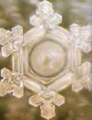 A structured water molecule after treatment with positive intent phrase Thank You placed on glass container of water. From The Message From Water by Masaru Emoto.