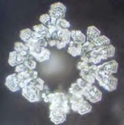 An unstructured water molecule from Fountain in Lourdes, France. From The Message From Water by Masaru Emoto.