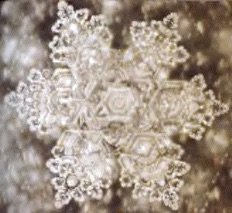 A structured water molecule of spring water of Saijo, Japan. From The Message From Water by Masaru Emoto.