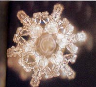 A structured water molecule of spring water of Sanbu Ichi Yusui, Japan. From The Message From Water by Masaru Emoto.