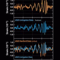 These plots show the signals of gravitational waves detected by the twin LIGO observatories